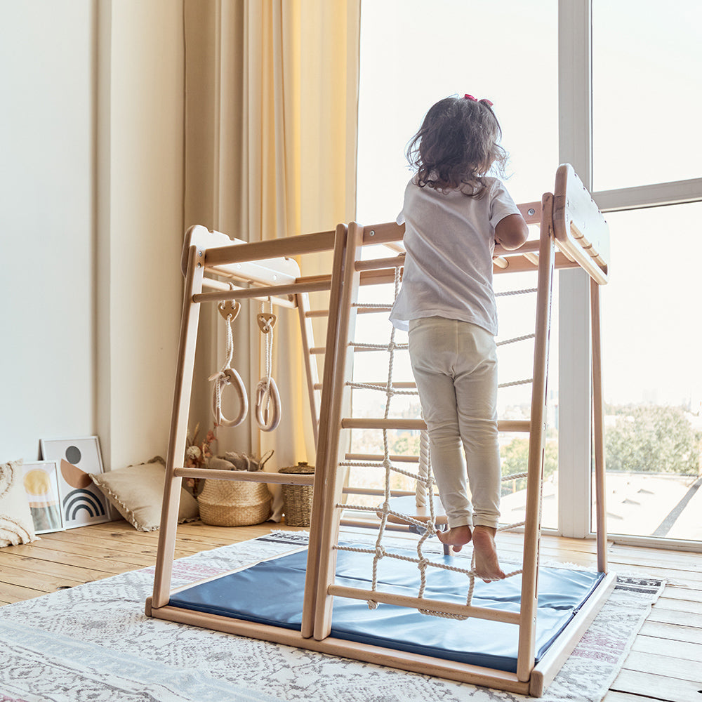 Indoor Jungle Gym