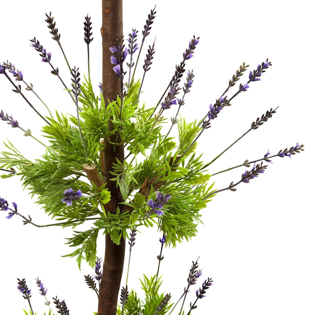Lavender Topiary with Farmhouse Planter