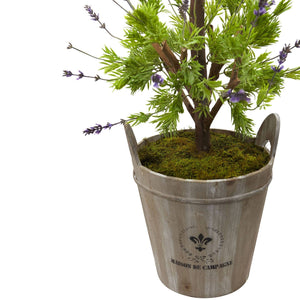 Lavender Topiary with Farmhouse Planter