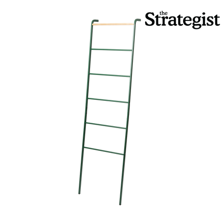 Leaning Storage Ladder (63" H) - Steel