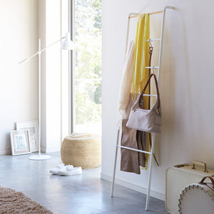 Leaning Storage Ladder - Two Styles - Steel