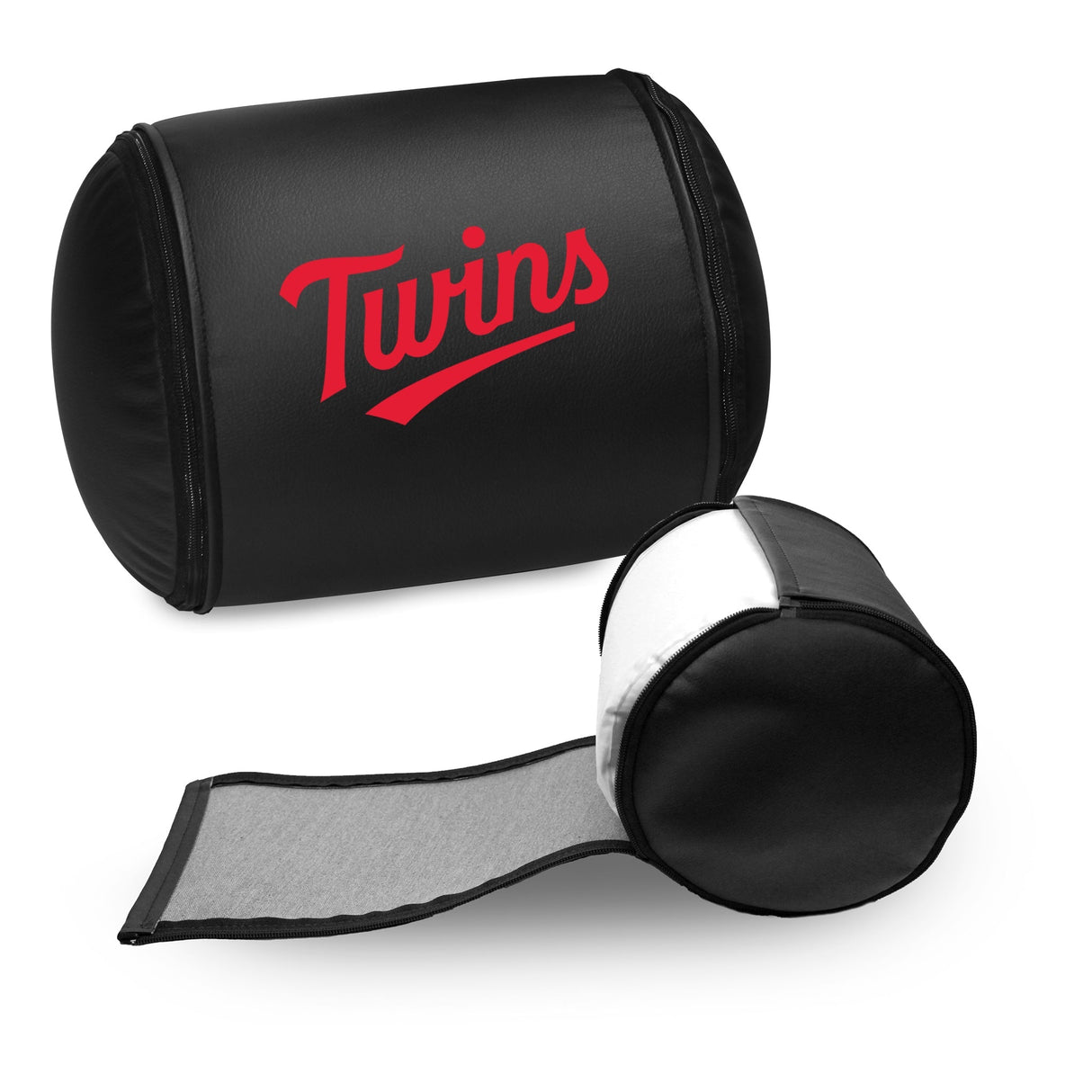 Minnesota Twins Wordmark Logo Panel