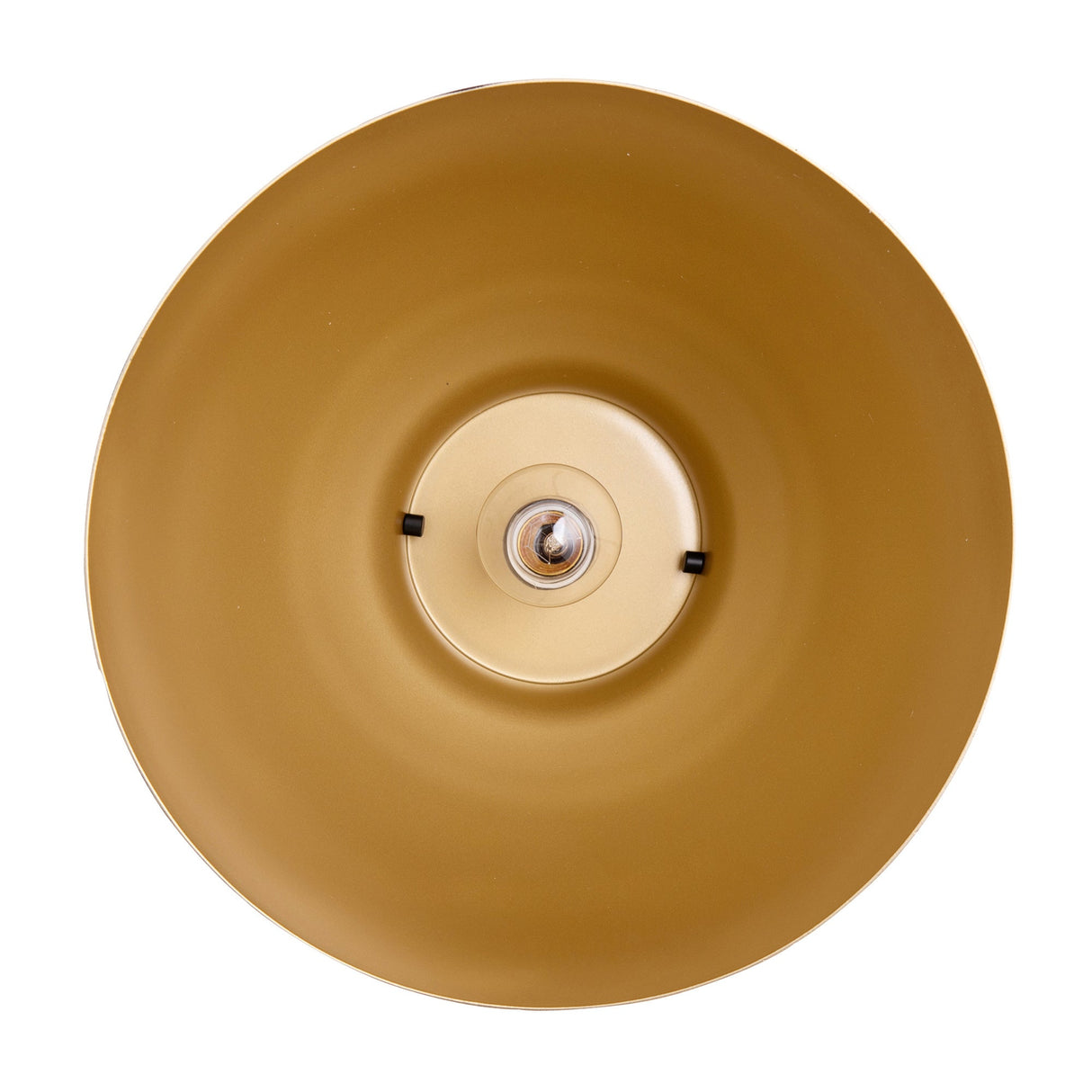 Modern 1-Light Metal Dimmable Pendant Light