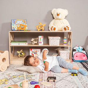 Montessori Toy Shelf