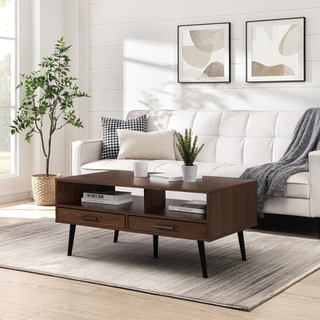 Orion 2-Drawer Coffee Table with Open Storage