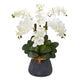 Phalaenopsis Orchid Artificial Arrangement in Stoneware Vase