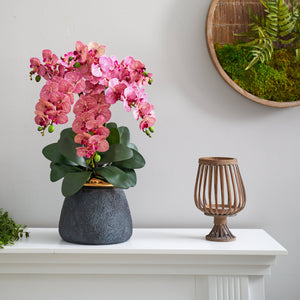 Phalaenopsis Orchid Artificial Arrangement in Stoneware Vase
