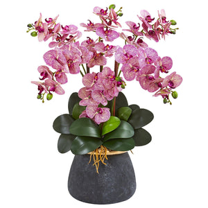 Phalaenopsis Orchid Artificial Arrangement in Stoneware Vase
