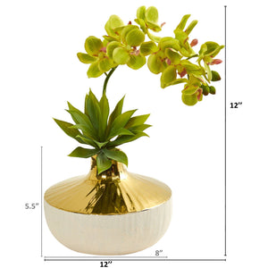Phalaenopsis Orchid and Agave Artificial Arrangement in Vase