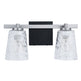 Radiance Modern 2-Light Dimmable Vanity Light