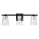Radiance Modern 3-Light Dimmable Vanity Light