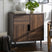 Romy Modern Accent Cabinet