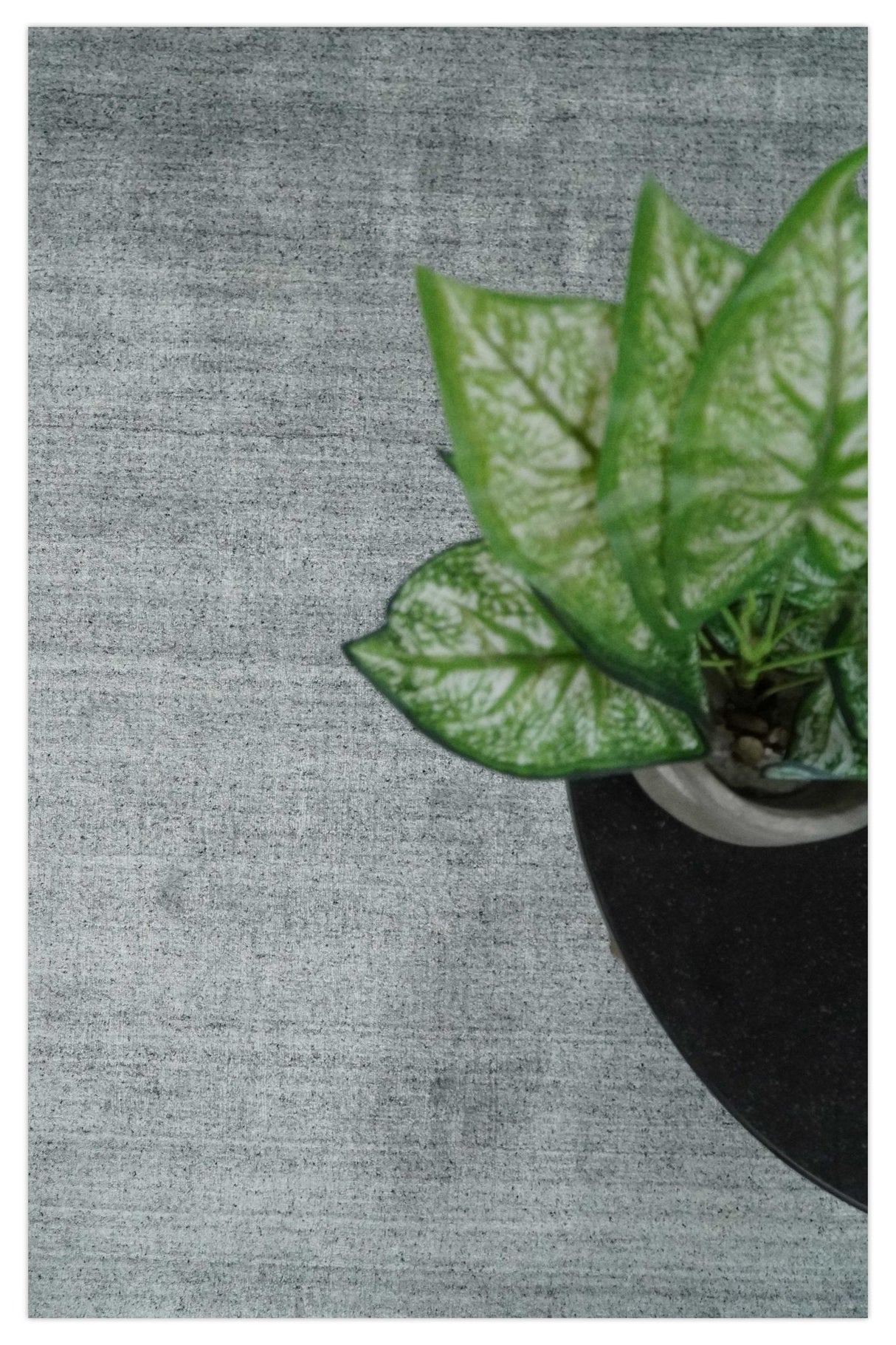 Shaded Silver Scandinavian 5x7 Blended Wool Flatwoven Area Rug, Dinning, Kids Rug | HL29