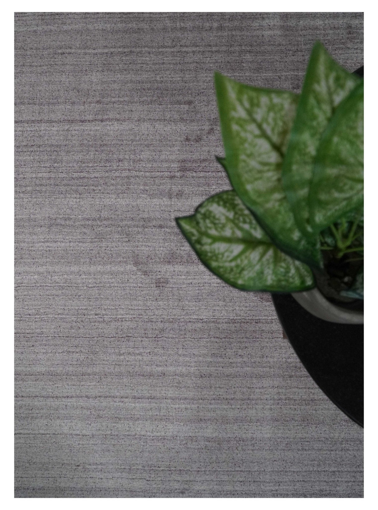 Shaded Solid Lavender purple Scandinavian 5x7 Blended bamboo Silk Flatwoven Area Rug | HL40