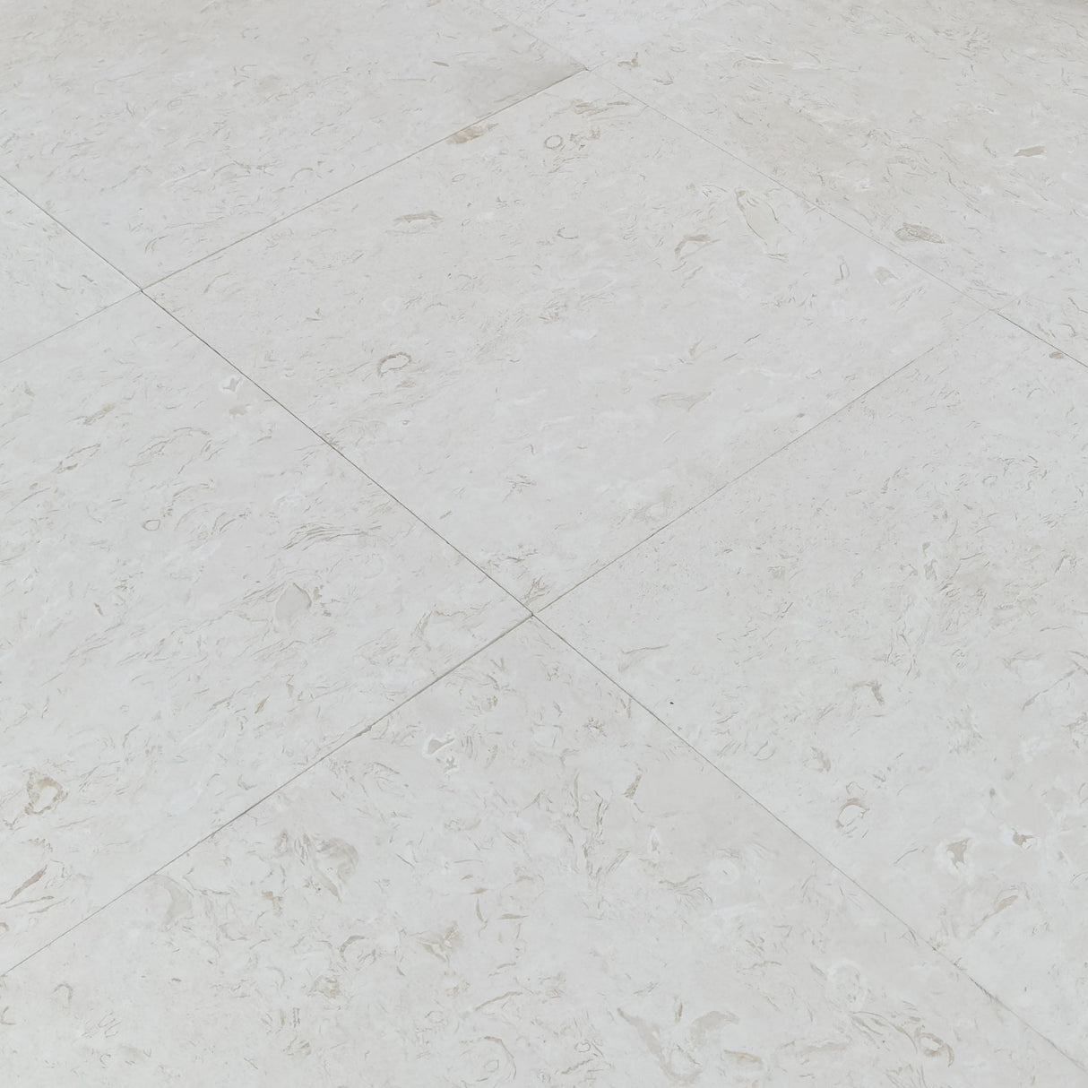 Shell Stone White Limestone Tiles 24"x24" Floor and Wall Tile - Belair Collection