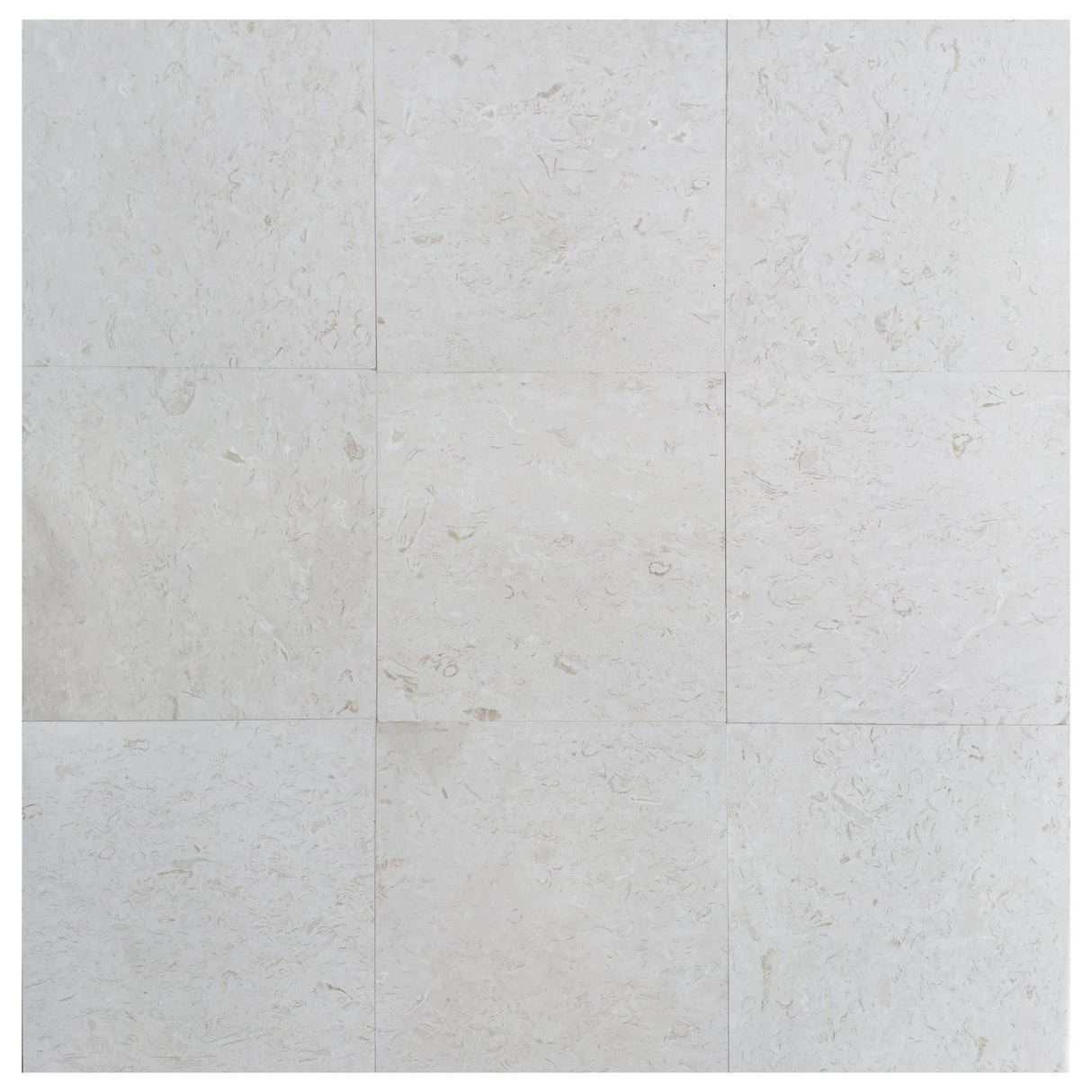 Shell Stone White Limestone Tiles 24"x24" Floor and Wall Tile - Belair Collection
