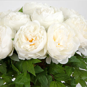 Signature Collection 20” Peony Artificial Arrangement in White Glass Vase