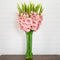 Signature Collection 44” Gladiola Artificial Arrangement in Glass Vase