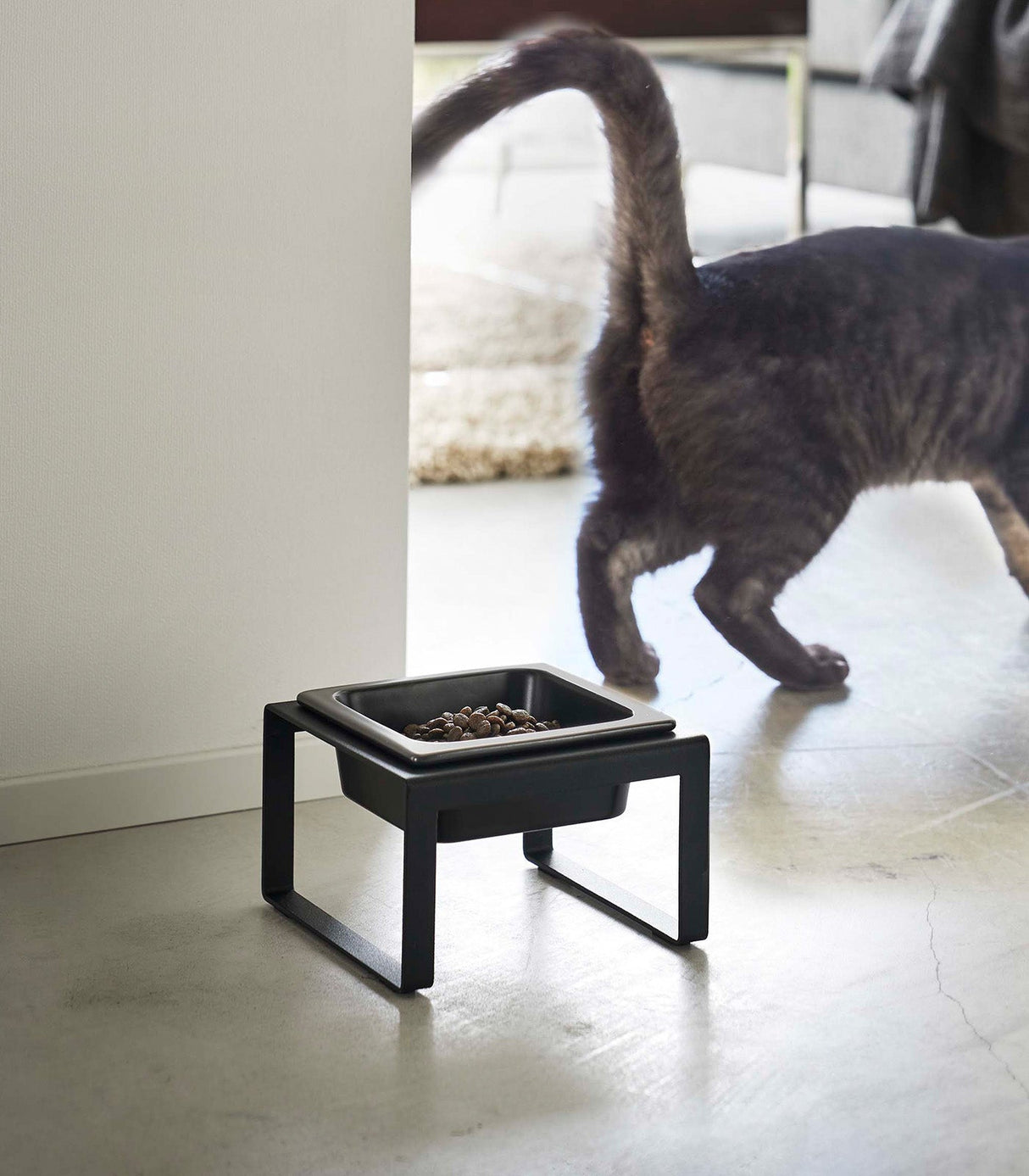 Single Pet Food Bowl - Steel + Ceramic