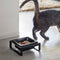 Single Pet Food Bowl - Steel + Ceramic