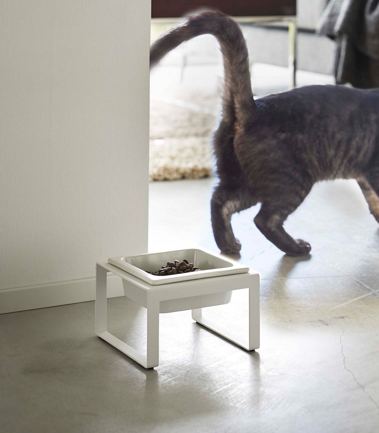 Single Pet Food Bowl - Steel + Ceramic
