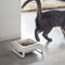 Single Pet Food Bowl - Steel + Ceramic