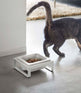 Single Pet Food Bowl - Steel + Ceramic