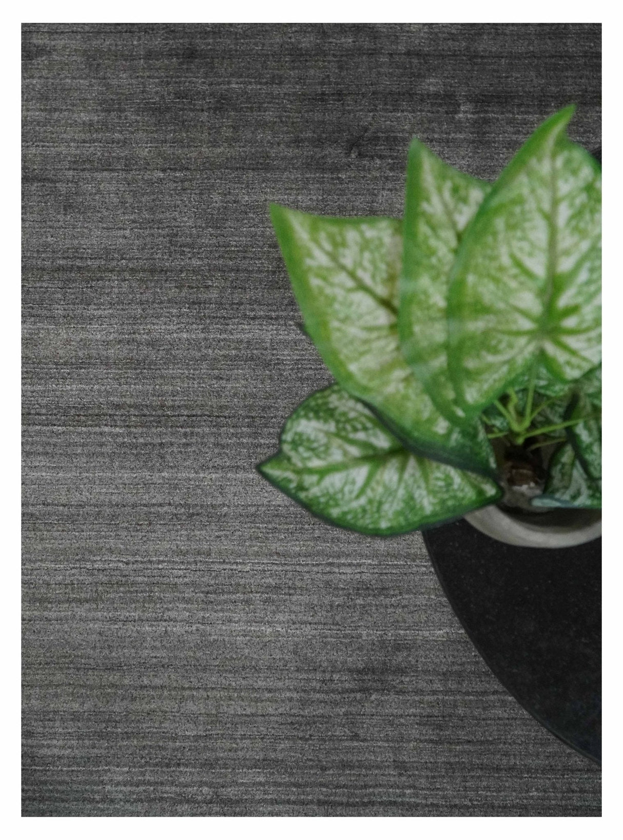 Solid Charcoal Scandinavian 5x7 Blended Bamboo Silk Flatwoven Area Rug, Dinning, Kids Rug | HL44