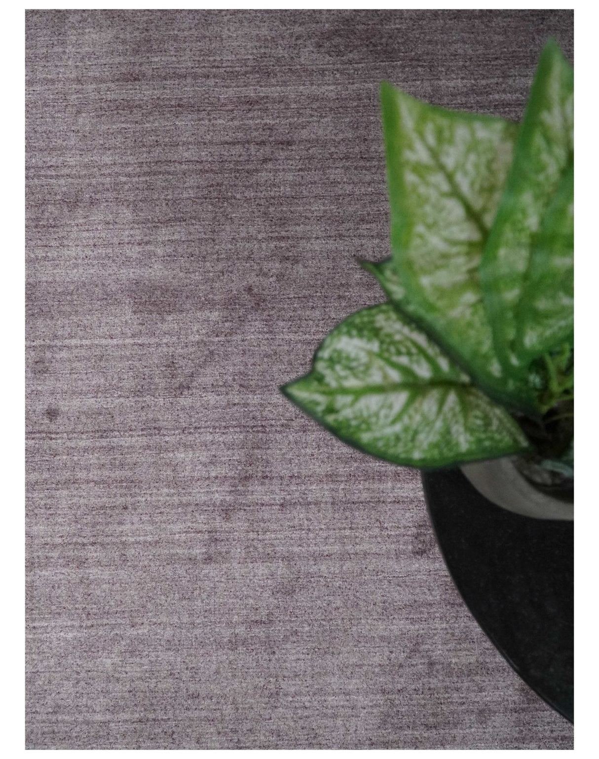 Solid Lavender Purple Scandinavian 5x7 Blended Wool Flatwoven Area Rug | HL12