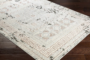 Terlingua Area Rug - Clearance