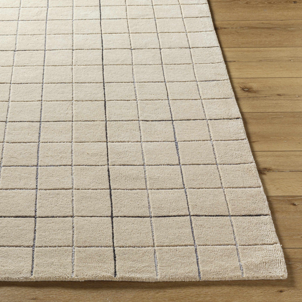 Toshi Beige Area Rug
