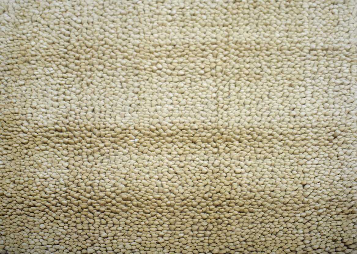 Traditional Handmade Wool 3' X 3' Area Rug |The Rug Decor | TRD600233