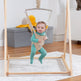 Tulip Foldable Baby Bouncer with Safety Harness | Lightweight & Portable Infant Seat