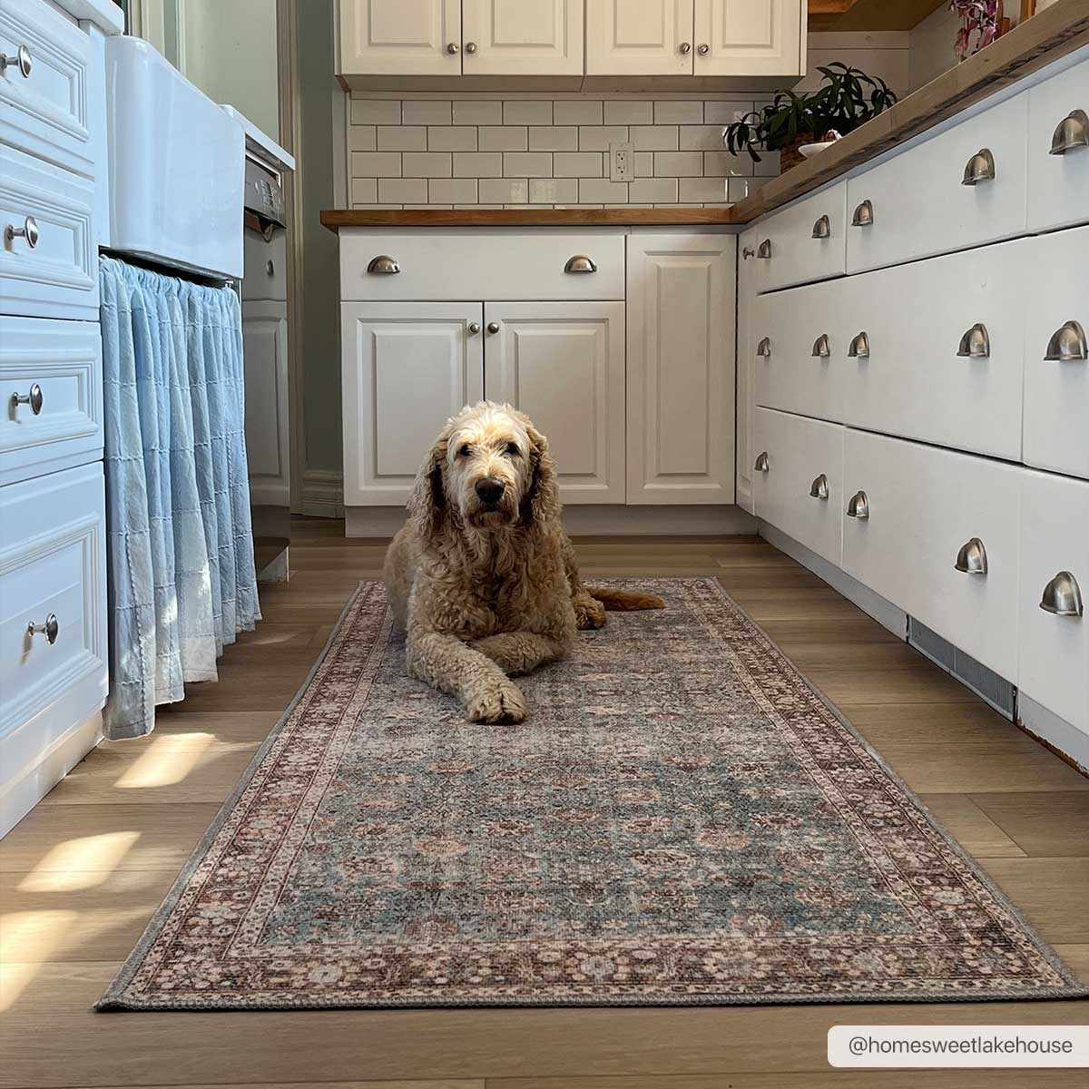 Vintage Brown&Blue Dauis Washable Rug