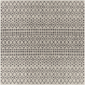 Wallkill Area Rug