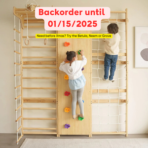 Walnut 9-in-1 Swedish Ladder Wall Gym | Indoor Wooden Climber & Activity Set for Kids