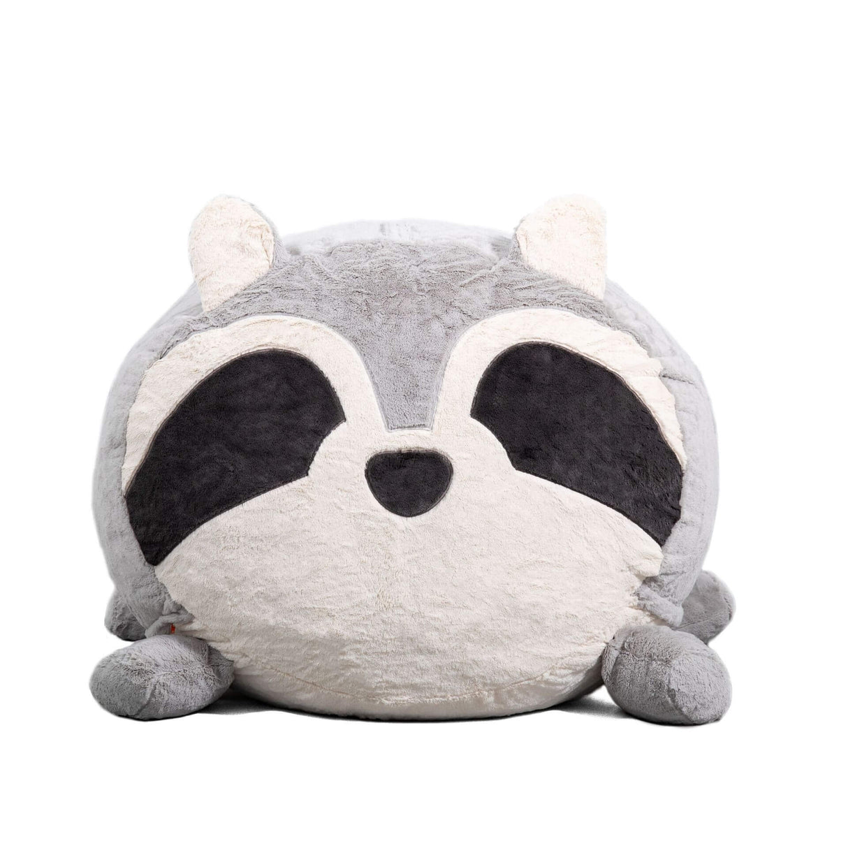 Wild Things Rocky Raccoon